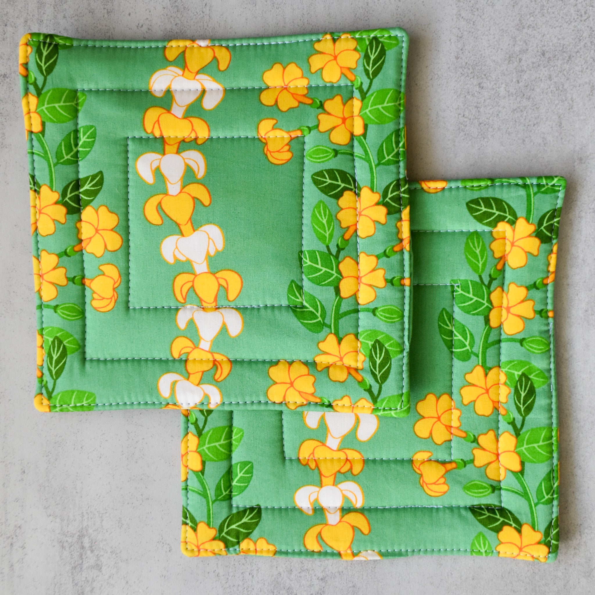Bright & Focused Potholders
